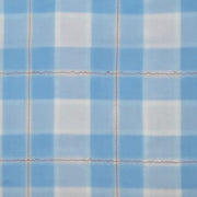 Aqua Red Gauze Plaid